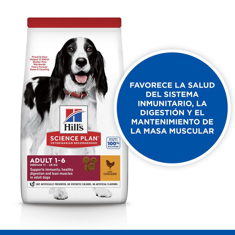 Hill's Science Plan Adult Medium Pollo pienso para perros, , large image number null